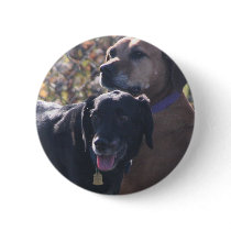 Tess - Labrador - Priscilla Photo-2 buttons by FrankzPawPrintz Tess - Labrador - Priscilla Photo-2 buttons