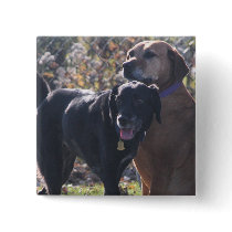 Tess - Labrador - Priscilla Photo-2 buttons by FrankzPawPrintz Tess - Labrador - Priscilla Photo-2 buttons
