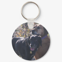 Tess - Labrador - Priscilla Photo-2 keychains by FrankzPawPrintz Tess - Labrador - Priscilla Photo-2 keychains