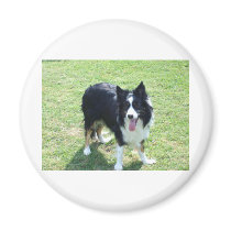Tess magnets by Caszcade Tess magnets
