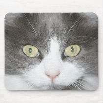 Tess mousepads by Paddydee56 Tess mousepads