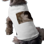 Tess Pet Clothing