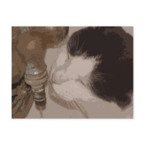 Tess Postcard