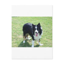Tess postcards by Caszcade Tess postcards