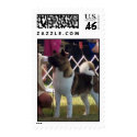 Tesscivitello postage