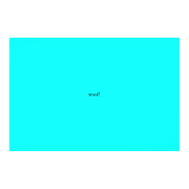 test posters
