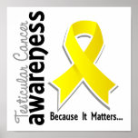 Testicular Cancer Awareness 5 Poster