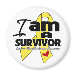 Testicular Cancer - I am a Survivor magnets