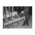 vintage baseball photos, old baseball photos, old