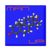 Testosterone in 3D magnets