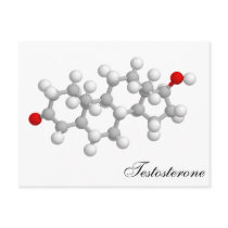 Testosterone postcards by Nushka Testosterone postcards