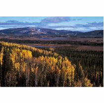 Tetlin Refuge Autumn Landscape photo sculptures