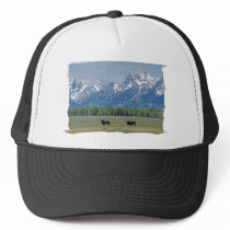 Teton Buffalo Hat by buffaloworks Teton Buffalo Hat