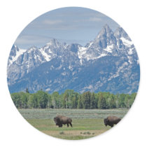 Teton Buffalo Sticker