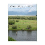 Teton River, Idaho Fisherman Postcard