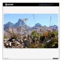 Tetons among wildflowers  macbook  skin 11" macbook air skins