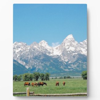 Tetons and Horses Display Plaques