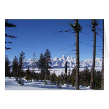Tetons in February Card