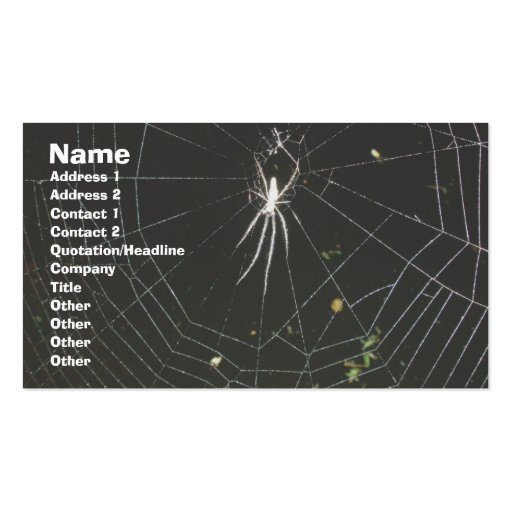 Tetragnathid Orb Weaver Spider Business Card