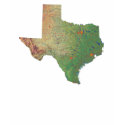 Texas Flag Map T-Shirt