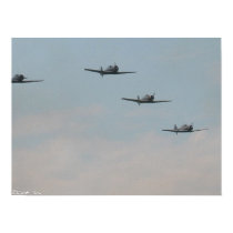 Texan Formation posters