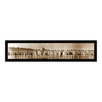 Texas Bathing Beauties Photo 1927 posters by lc_panoramicphotos Texas Bathing Beauties Photo 1927 posters