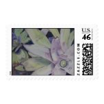 Texas Beauty postage