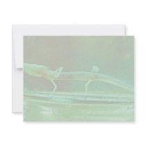 Texas Blind Salamander invitations by animalpark Texas Blind Salamander invitations