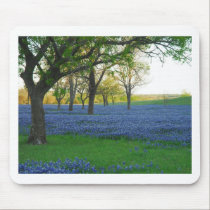 Texas Blue Bonnets mousepads
