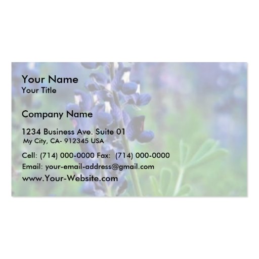 Texas Bluebonnet Business Card Templates (front side)