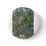 Texas Bluebonnet
