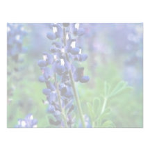 Texas Bluebonnet Custom Invitation