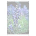 Texas Bluebonnet Custom Stationery