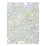 Texas Bluebonnet Customized Letterhead