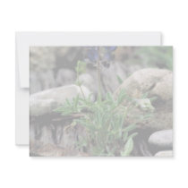 Texas Bluebonnet Invitation