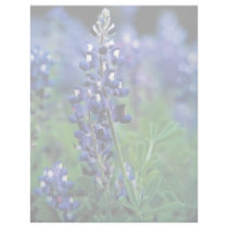 Texas Bluebonnet letterhead by animalpark Texas Bluebonnet letterhead
