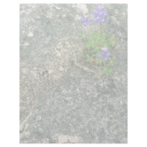 Texas Bluebonnet letterhead by animalpark Texas Bluebonnet letterhead
