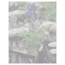 Texas Bluebonnet letterhead by animalpark Texas Bluebonnet letterhead
