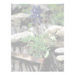 Texas Bluebonnet Letterhead