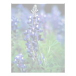 Texas Bluebonnet Letterhead Design