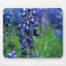 Texas Bluebonnet Mousepads