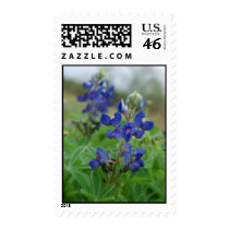 Texas Bluebonnet postage by lctxgirl23 Texas Bluebonnet postage