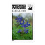 Texas Bluebonnet Stamps
