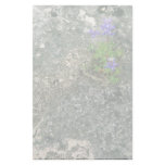 Texas Bluebonnet Stationery