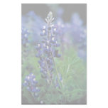 Texas Bluebonnet Custom Stationery