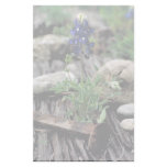 Texas Bluebonnet Custom Stationery