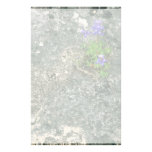 Texas Bluebonnet Stationery