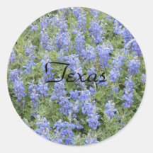 Texas bluebonnet sticker