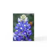 Texas Bluebonnet Thank You Card