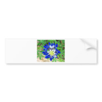 Texas Bluebonnet Top View Bumper Sticker